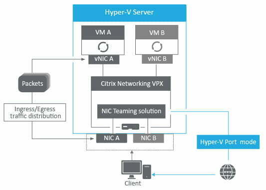 How to resolve Citrix ADC HA pair issue with remote node change from UP to DOWN state 1 Cloud School Docs - HyperV port mode -
