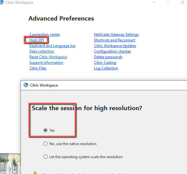 Black white and grey screens of death in Citrix Virtual Apps and Desktops 2 Cloud School Docs - Citrix Workspace App High DPI setting -