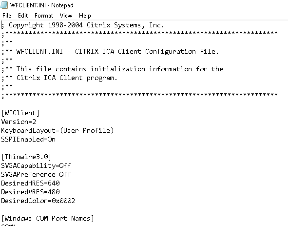 Citrix Virtual Apps and Desktops high DPI resolution issues 4 Cloud School Docs - image 85 -